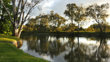 Australia-Murray-Río-En-Albury-Reflexiones-Encantadoras