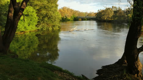 Australia-Murray-River-At-Albury