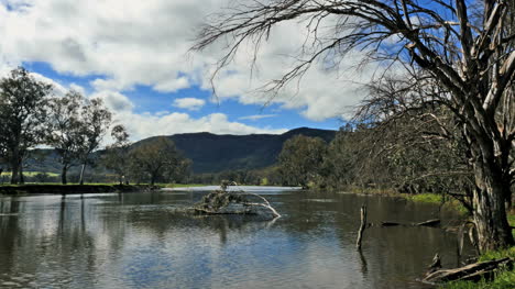 Australien-Murray-River-Viewray