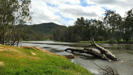 Australia-Murray-River-With-Log