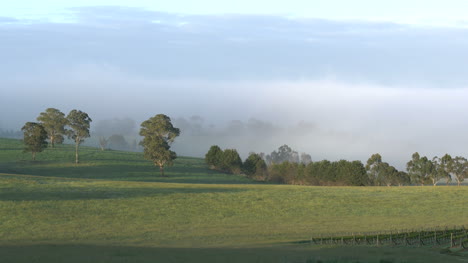 Australien-Ausblick-Hügel-Neblige-Aussicht