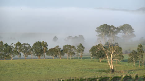 Australien-Outlook-Hill-Zoom-Aus-Nebel-Mis
