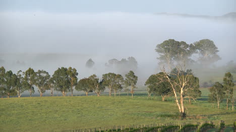 Australia-Outlook-Hill-Alejarse-De-La-Niebla