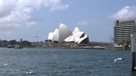 Australien-Sydney-Opera-House-Und-Viele-Möwen-Mit-Fähre