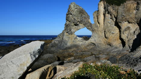 Australia-Rock-And-Shrub-At-Australia-Rock