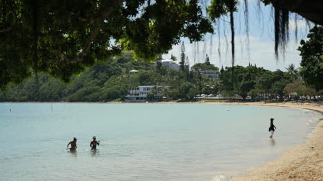 New-Caledonia-Noumea-Waders-In-Lagoon