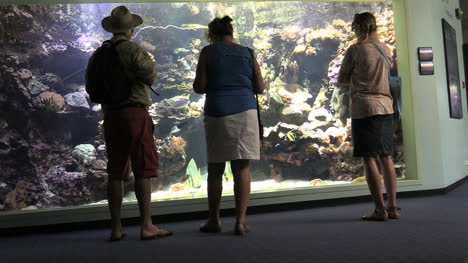 New-Caledonia-Tourists-And-Fish