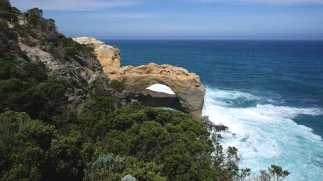 Australien-Great-Ocean-Road-Der-Bogen-Und-Die-Bäume