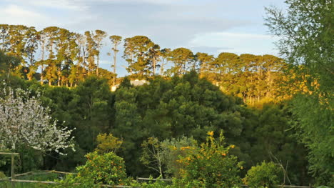 Vista-Panorámica-De-La-Península-De-Mornington-Australia