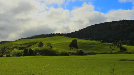 Neuseeland-Catlins-Grasiger-Hügel