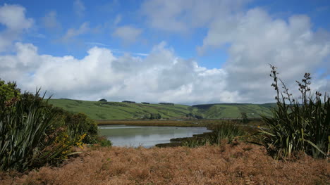 Neuseeländischer-Catlins-See