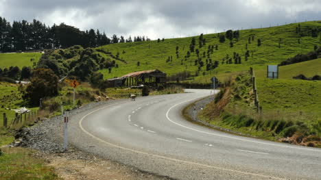Nueva-Zelanda-Catlins-Ovejas-Camina-Fuera-De-La-Carretera