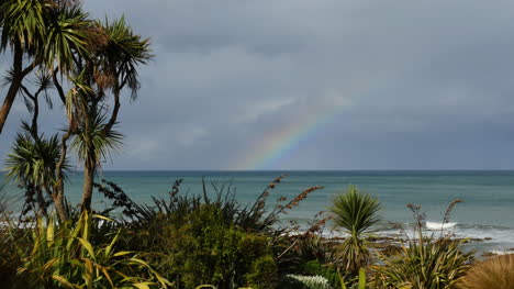 New-Zealand-Kaka-Point-Rainbow.Mov