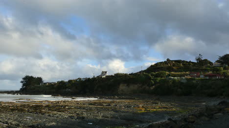 Neuseeland-Kaka-Point-Shadow-Wächst