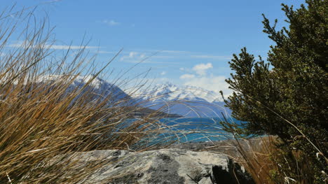 Nueva-Zelanda-Lago-Tekapo-Soplando-Hierba