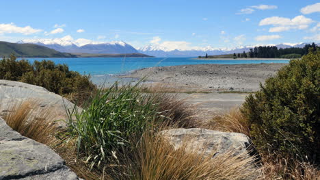 New-Zealand-Lake-Tekapo-Rocks-And-Grass