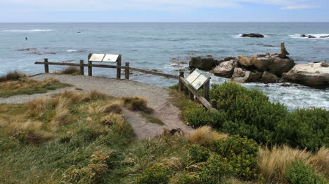Neuseeland-Shag-Point-Küste-Aussichtspunkt