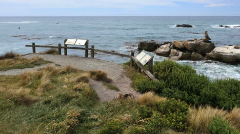 Punto-De-Vista-De-La-Costa-De-Nueva-Zelanda