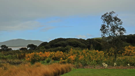 Neuseeland-Waikawa-Bay-Braunes-Gras-Leichter-Nieseln