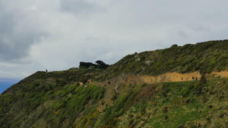 New-Zealand-Path-To-Nugget-Point-Lighthouse