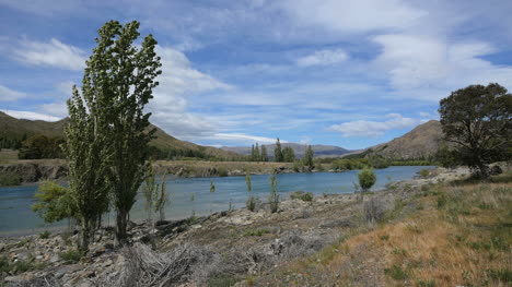 Neuseeland-Fluss-Mit-Pappeln