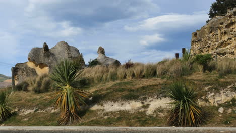 Neuseeland-Felsen-Und-Gras-Im-Wind