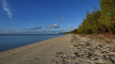Strand-Von-Aitutaki-Mit-Uferkiefern