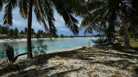 Canal-Aitutaki-Al-Arrecife-Con-Palmeras