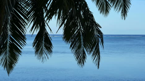 Aitutaki-Palmwedel-Und-Lagune