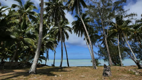 Aitutaki-Palms-Frame-Aqua-Lagoon