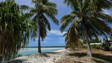 Aitutaki-Palms-Stand-By-Channel-To-Lagoon