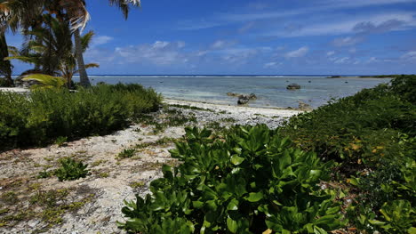 Aitutaki-Pfad-Zum-Strand