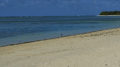 Aitutaki-Sand-Und-Reiher-Zu-Fuß-Durch-Die-Lagune