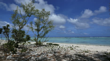 Aitutaki-Shore-Pines-And-Lagoon