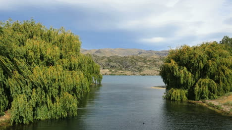 Neuseeland-Lake-Dunstan-Channel-Mit-Weiden