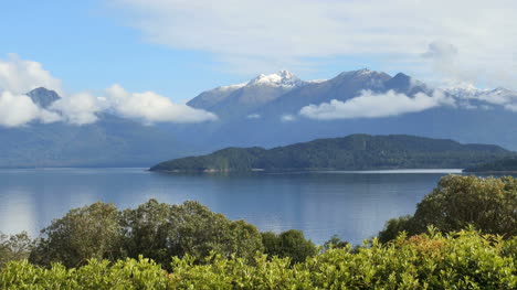 Neuseeland-Lake-Manapouri-Vögel