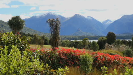 Neuseeland-See-Manapouri
