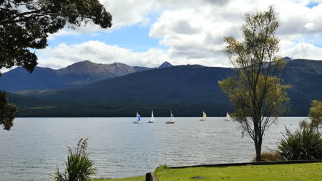 New-Zealand-Lake-Te-Anau-Trees-Frame-Lake