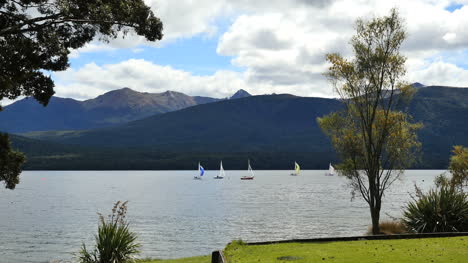 Neuseeland-See-Te-Anau-Bäume-Umrahmen-See