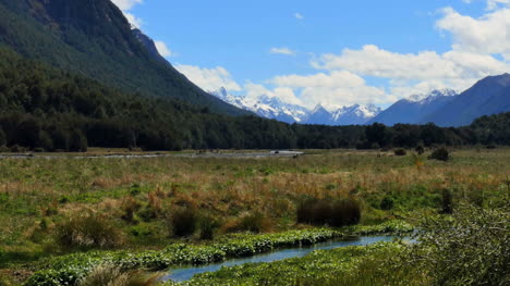 New-Zealand-Milford-Sound-Road-Marsh-Fiordland-Pan