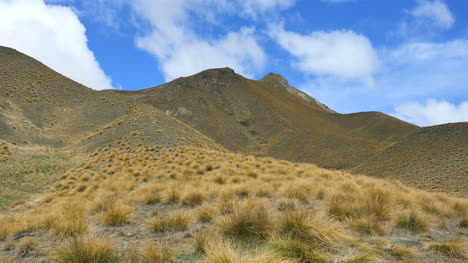 New-Zealand-Pass-With-Tussock-Grass-Time-Lapse