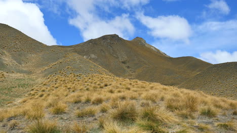 Pase-De-Nueva-Zelanda-Con-Lapso-De-Tiempo-De-Hierba-De-Mata