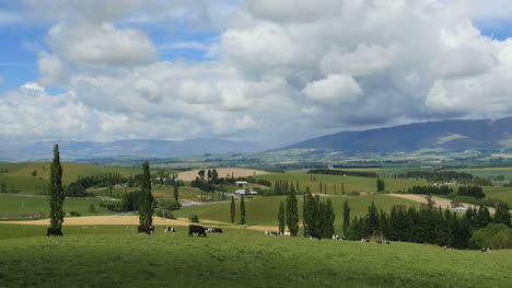 Neuseeland-Landschaft-Mackenzie-Area