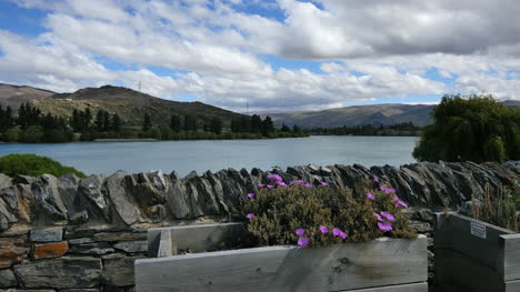 Cajas-De-Flores-De-Nueva-Zelanda-Lago-Dunstan