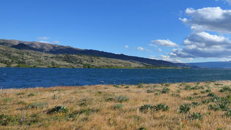 Hierba-De-Nueva-Zelanda-Por-Lago-Dunstan-Pan