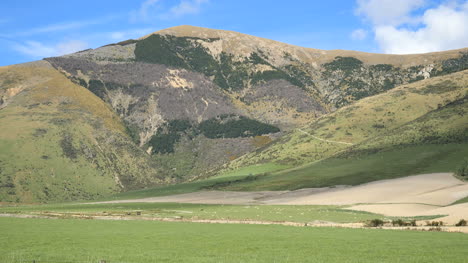 Neuseeland-Landschaft-Hügel