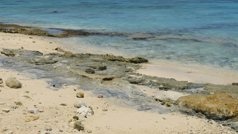 Rocas-Y-Playa-De-Rarotonga