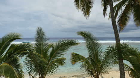 Rarotonga-Wellen-Am-Riff,-Die-Größtenteils-Von-Palmen-Verdeckt-Sind