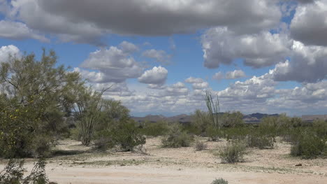 Arizona-Wolken-über-Der-Wüstenpfanne