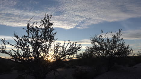 Arizona-Wüste-Sträucher-Und-Wolken